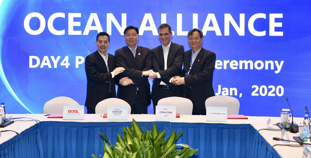 Dzień 4 w Ocean Alliance