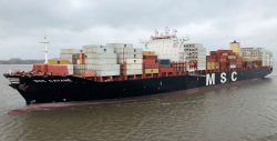 MSC kontra Bloomberg