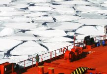 Rosja stawia na Arktykę